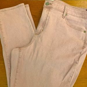 Curvy Skinny High Rise Everyday Jean